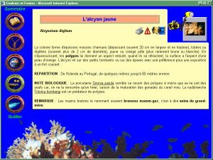 Une fiche descriptive